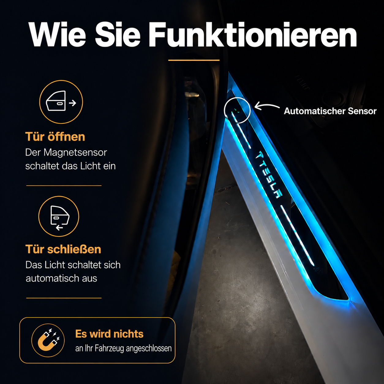 BloomCar™ LED-Einstiegsleiste Pro (Benutzerdefiniert)